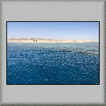 Shoab El Shouna Reef
