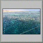 Shoab El Shouna Reef