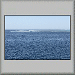 Shoab El Shouna Reef