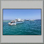 Shoab El Shouna Reef