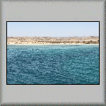 Shoab El Shouna Reef