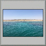 Shoab El Shouna Reef
