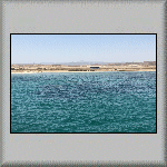 Shoab El Shouna Reef