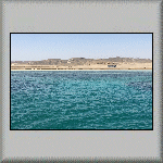 Shoab El Shouna Reef